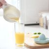 Manual Citrus Juicer