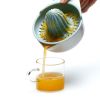 Manual Citrus Juicer